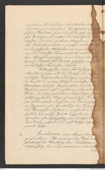 Nachlass Franz Steindachner, Prospect der Adria-Commission (Mai 1874), Inv.Nr. 4.01, Seite 6